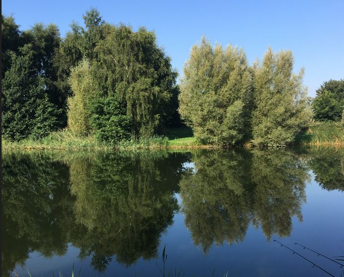 Pond at Porters Farm