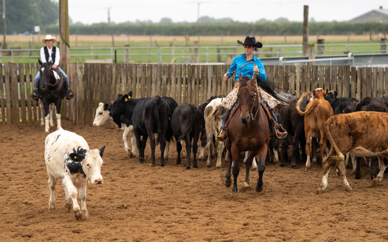 Ranch Cowgirl working cattle