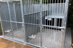 Kennel floor paint
