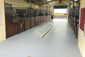 Stable floor paint