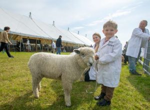 Lincs Show boy with sheep