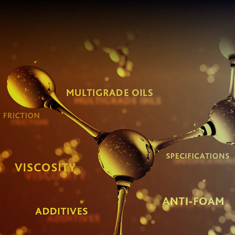 OUR EXPERTISE & SUPPORT