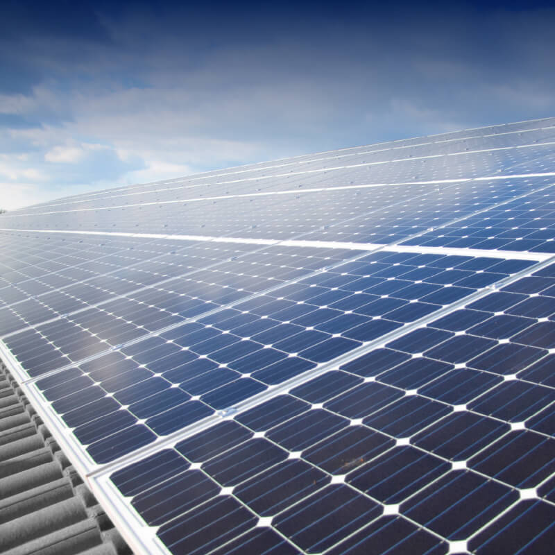 OUR SUSTAINABLE PRACTICES