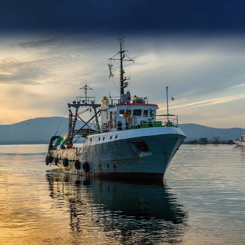 MARINE LUBRICANTS